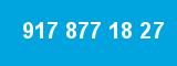 917 877 18 27